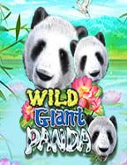 เดิมพัน ฟรี ไม่ ต้อง ฝาก 2019: เกมสล็อตที่คุณต้องลอง!